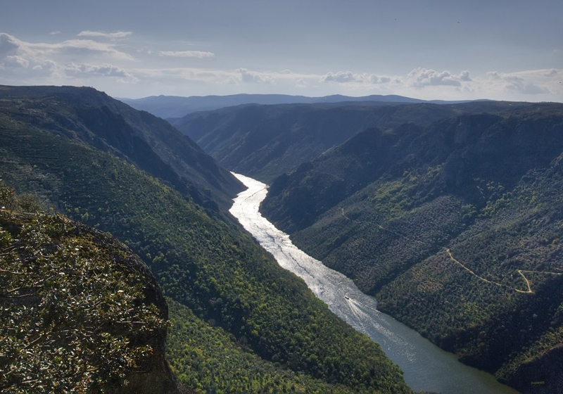 R&iacute;o Duero, desde el mi#802C