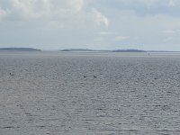 DSC01454