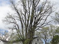DSC01501