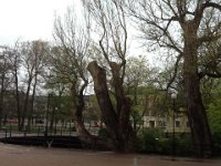 photo7
