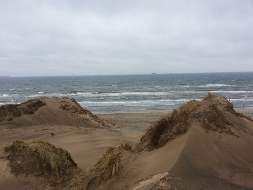 %_tempFileName20140405_143842%