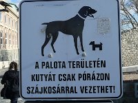 P1050437